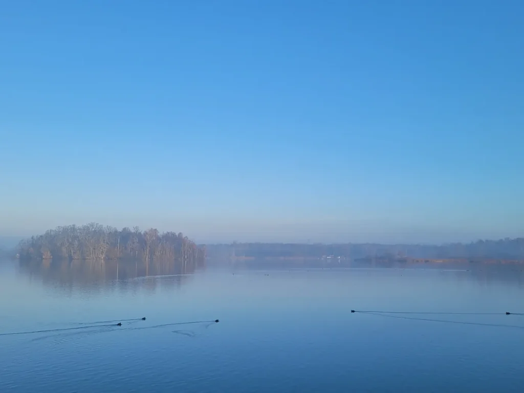 Dzierżno widok o poranku